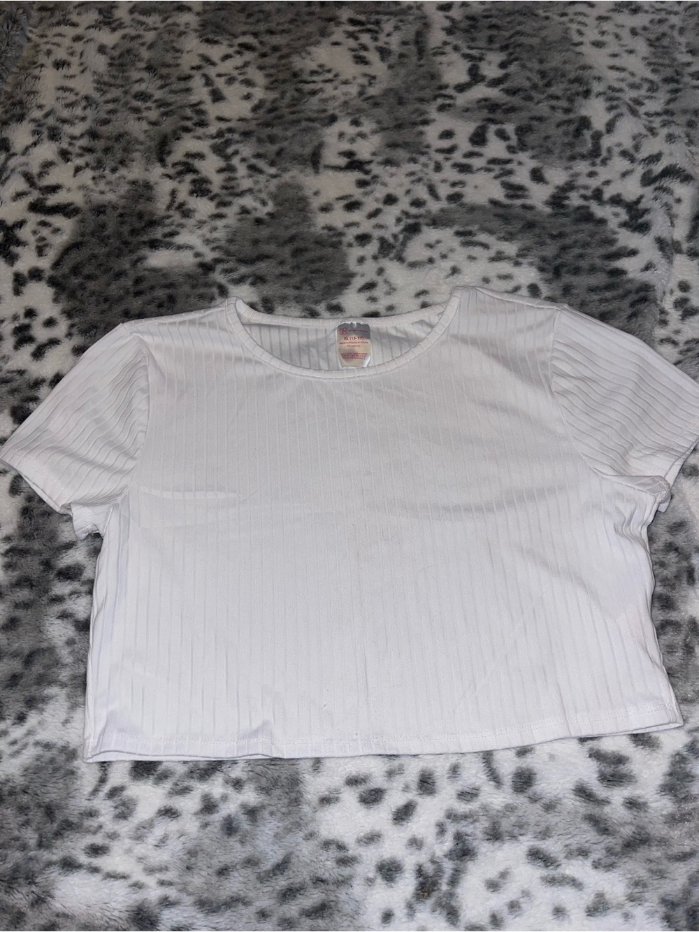 No boundaries crop top